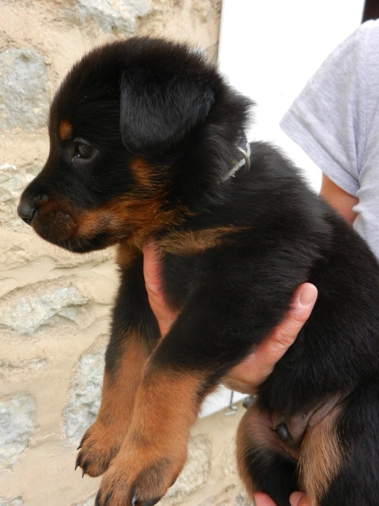 Les Bébés de Garonne et Karma