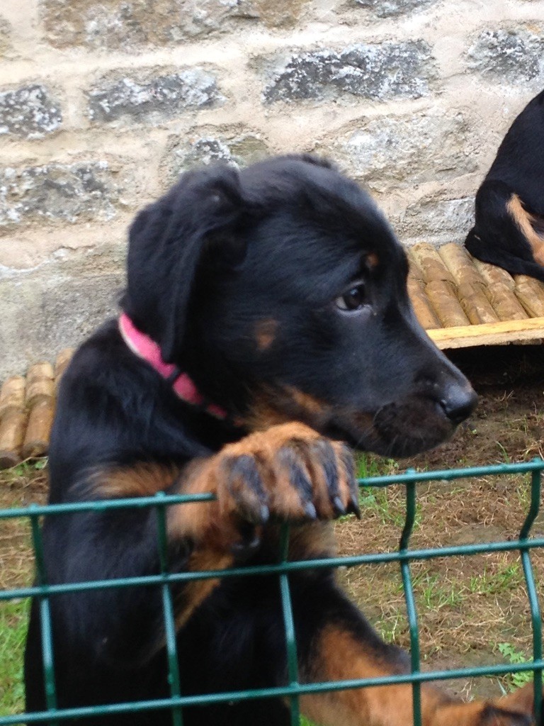 Les Bébés de Garonne et Karma Septembre 2017